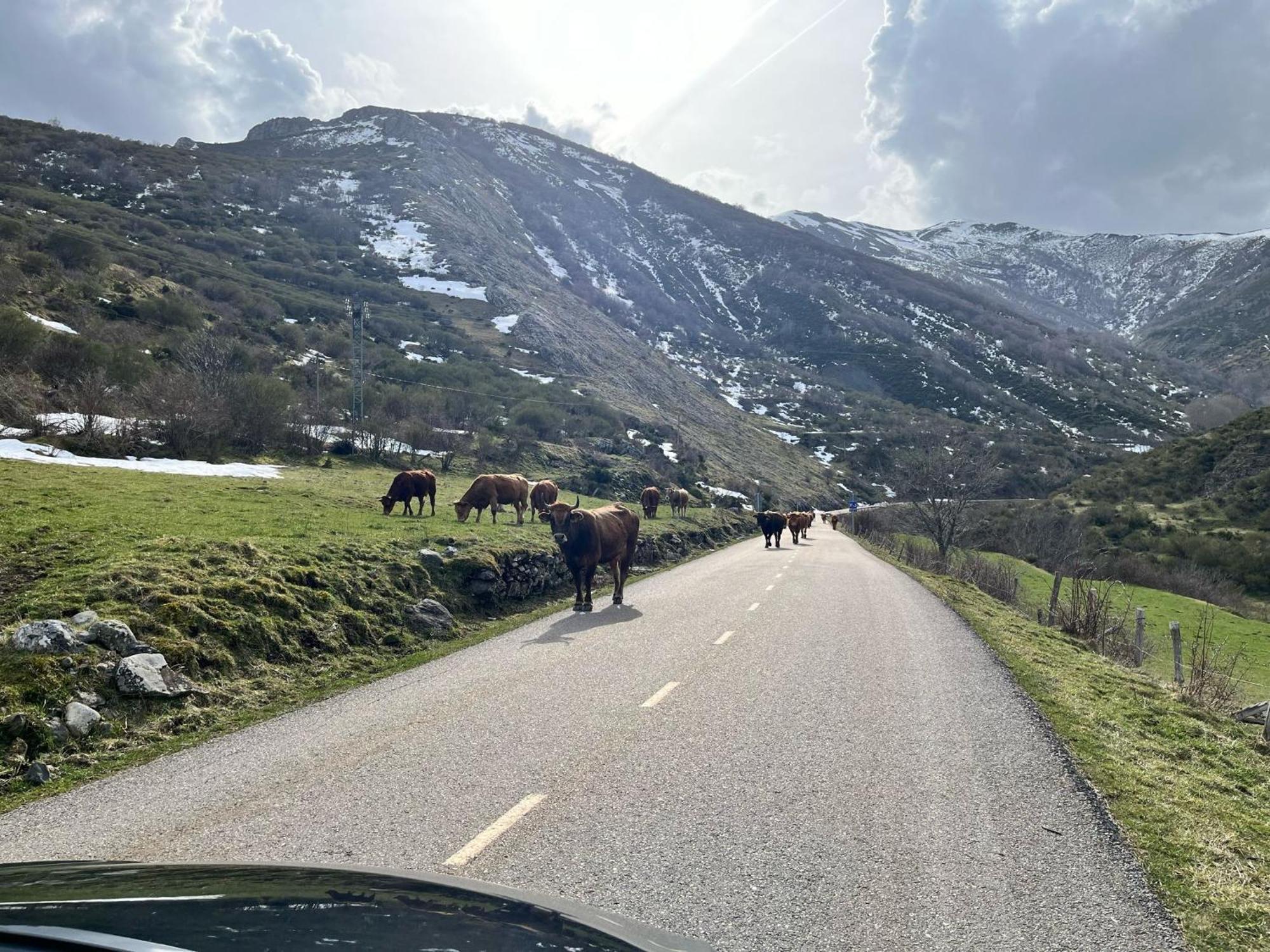 Casas Rurales Cuatro Valles Naredo de Fenar Dış mekan fotoğraf