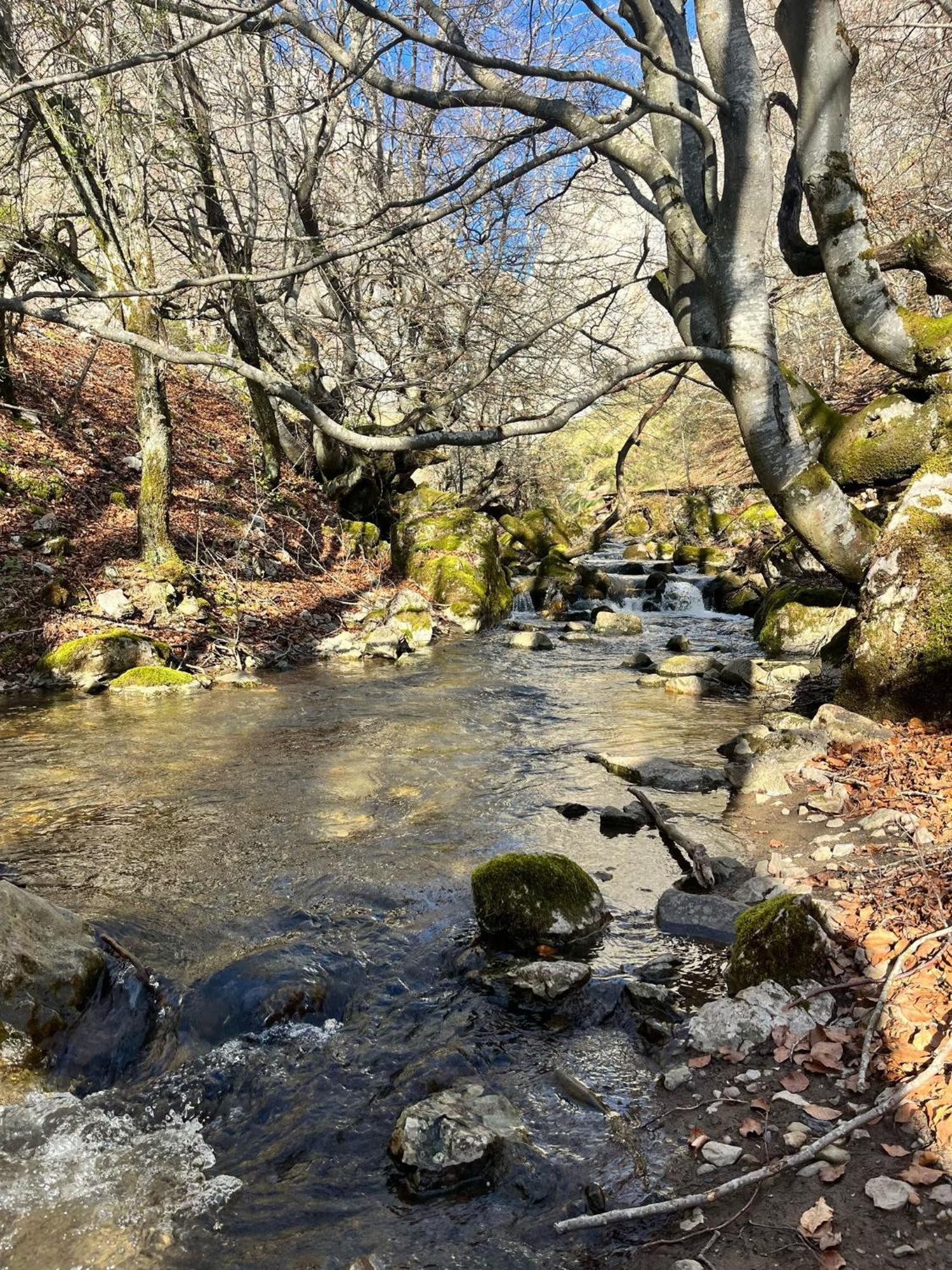 Casas Rurales Cuatro Valles Naredo de Fenar Dış mekan fotoğraf